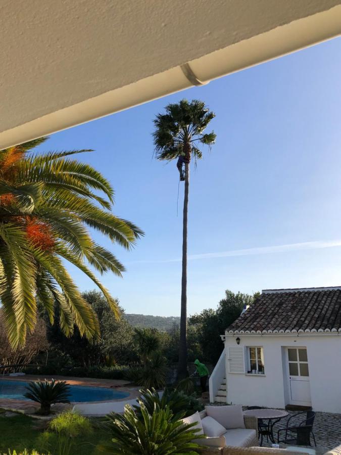 Quinta Quinze Bed & Breakfast Boliqueime Exterior foto